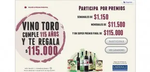 promo-vino-toro-115